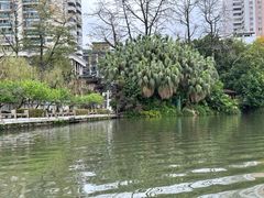 -西湖公园(鼓楼区)