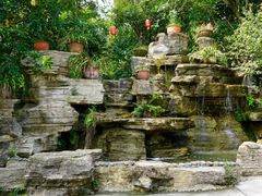 -建华生态湿地百荷园