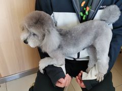 -宠福鑫康馨动物医院·骨科·眼科
