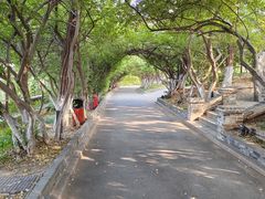 -烟台山景区