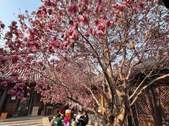 -VOYAGE COFFEE(北锣鼓巷店)