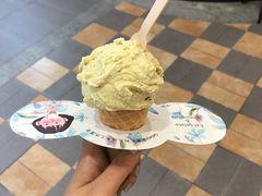 -野人先生现做冰淇淋(西安赛格店)