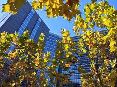 -新荟城(望京店)