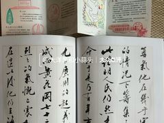 -宋庆龄陵园