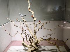 -陕西自然博物馆