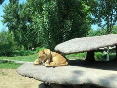 -北京野生动物园