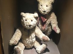 -济州岛泰迪熊博物馆