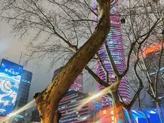 -新白鹿餐厅(金鹰新街口店)