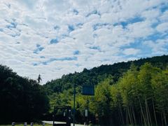 -南京市无想山景区