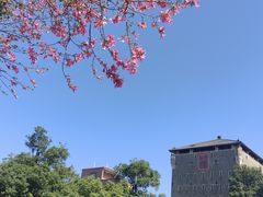 -均和墟历史街区-平和大押