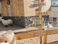 -HERRE·FARM 赫尔露营农场·团建聚会包场