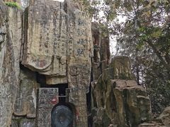 -铁山坪森林公园