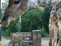 -清迈夜间动物园