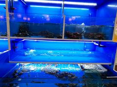 -阿尔法海鲜排档(爱琴海店)