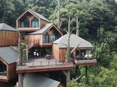 -杭州开元森泊度假乐园