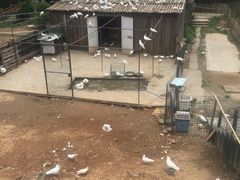 -无锡动物园·太湖欢乐园