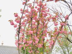 -品渔味湖鲜馆(拈花湾店)