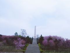 景点-照金红色旅游名镇