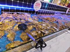 -川骄海鲜自助(河东店)