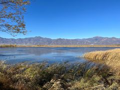 -野鸭湖国家湿地公园