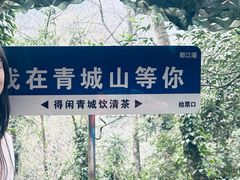 -青城甲(青城山店)