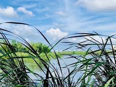 -鉴湖国家城市湿地公园