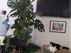 -平行世界·猫咖(首经贸店)