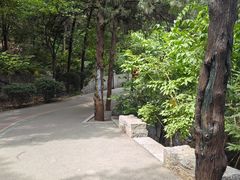 -佛慧山