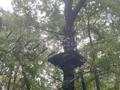 -WeLope紫金山探险公园