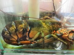 -四海鲜渔家菜(黄金海岸店)