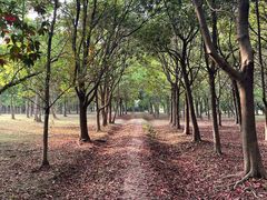 -蜀冈西峰生态公园