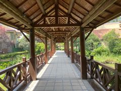 -思念果岭悦温泉