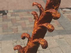 -黑色经典臭豆腐·湖南特产(太平街口店)