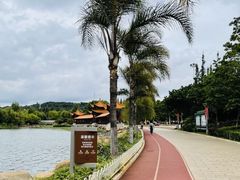 -洛龙公园