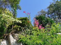 -鼓浪屿钢琴博物馆