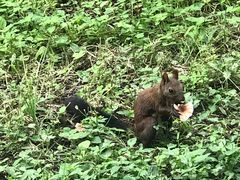 -东坝千亩湖公园