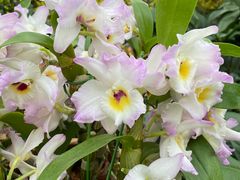 -北京植物园-展览温室