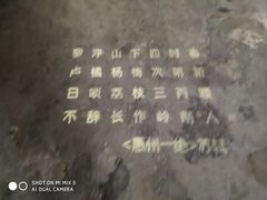 -润青四季音乐主题餐厅·椰子鸡(罗湖店)