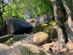 -火炉山森林公园