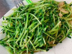 炒豆苗-明记烧鱼美味店