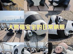 -星光大道