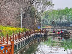 -云岗森林公园