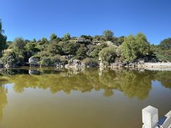 -北京西山国家森林公园