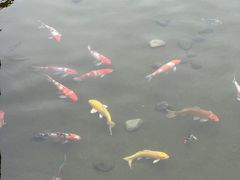 -镇江中国醋文化博物馆