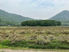 -八卦田遗址公园