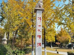 -徐州龟山景区