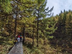 -苏木山森林公园