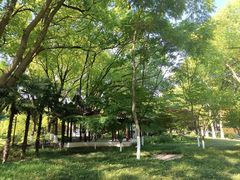 -亭林园-华藏寺