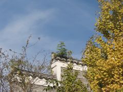 -八大山人梅湖景区