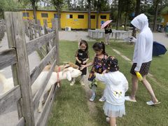 -前小桔亲子创意农场·草莓采摘·露营烧烤